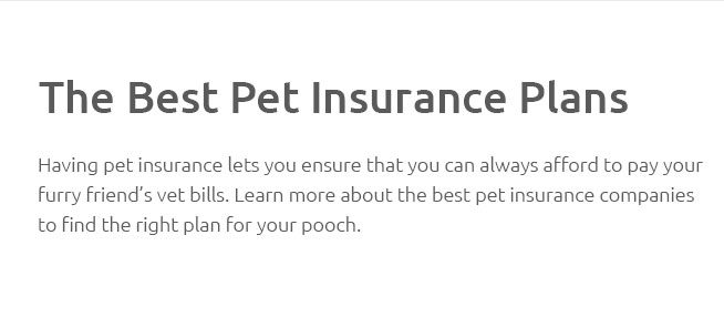 Pet Insurance Florida Reviews